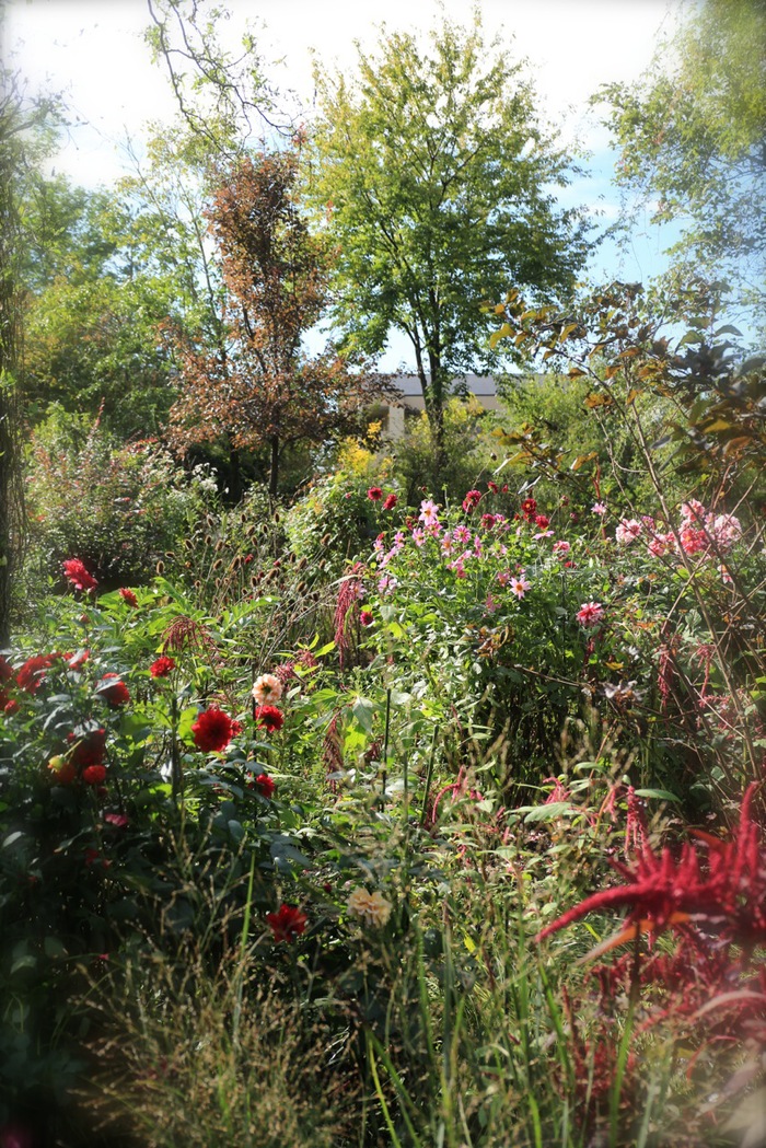 b0168859_8443176.jpg