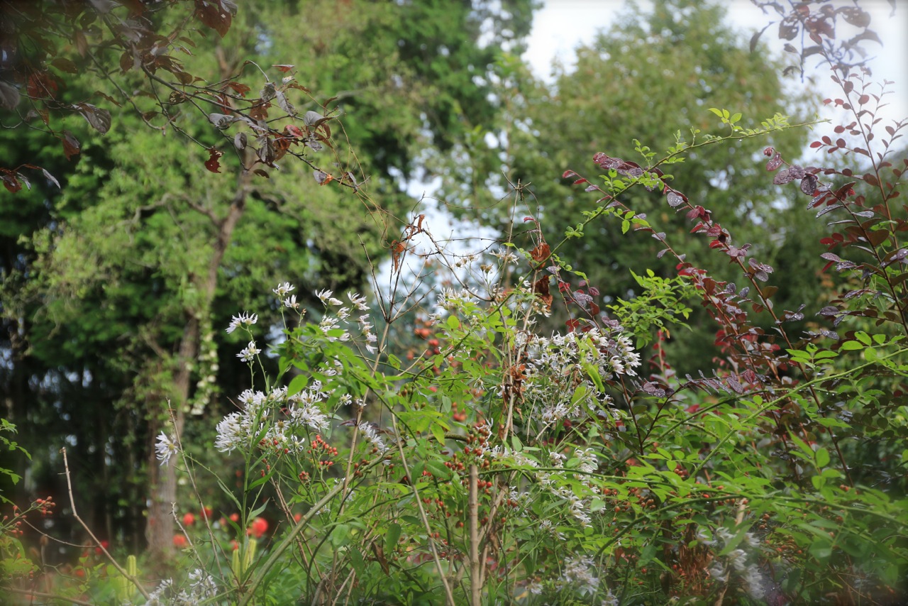 b0168859_8454427.jpg
