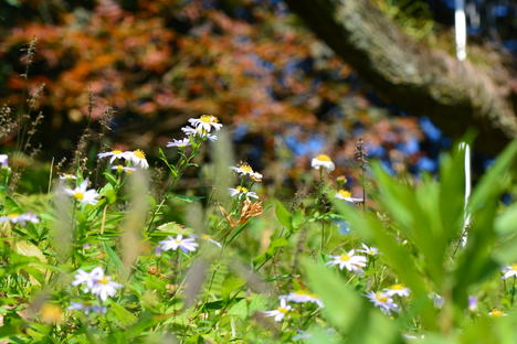 b0267163_225616.jpg