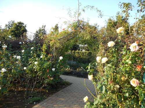 c0336266_08424563.jpg