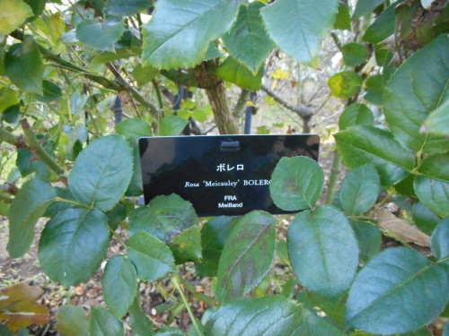 c0336266_08485696.jpg