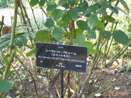 c0336266_08511932.jpg