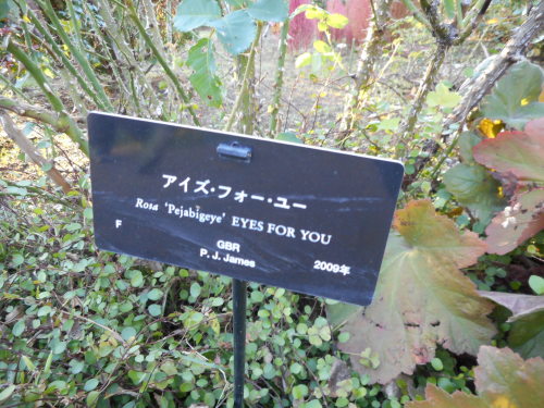 c0336266_08532464.jpg