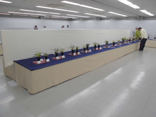 f0318967_19553691.jpg