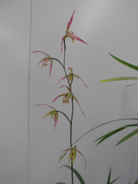 f0318967_20124258.jpg