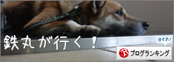 b0246876_22534210.png