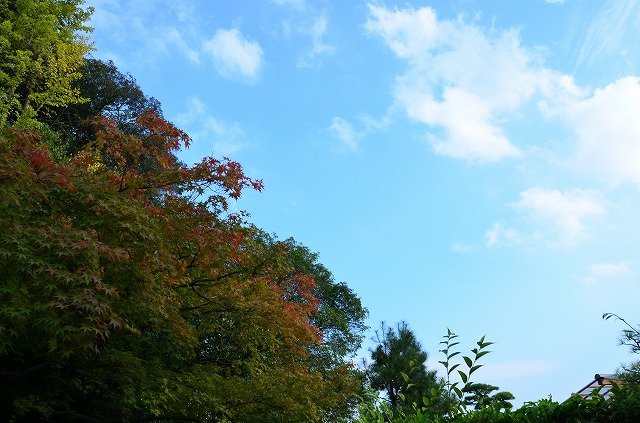 a0185880_15554174.jpg