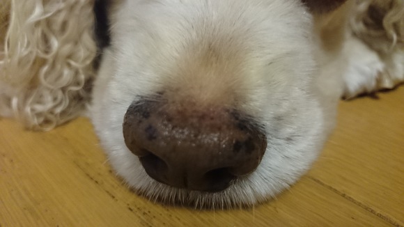 f0218182_20182349.jpg