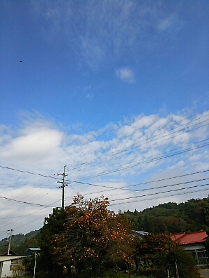 b0163088_12244614.jpg