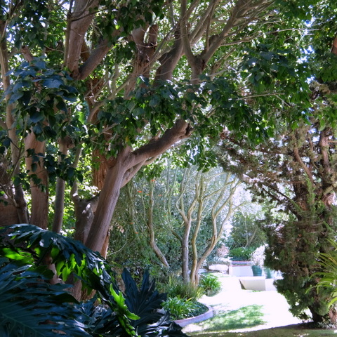 f0121591_21433744.jpg