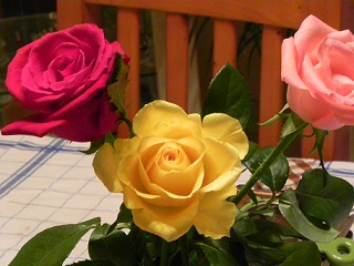 c0152002_21151074.jpg