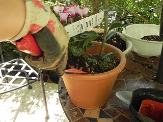 c0152002_21171173.jpg