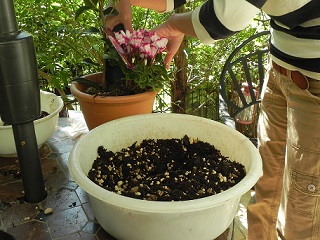 c0152002_21175626.jpg