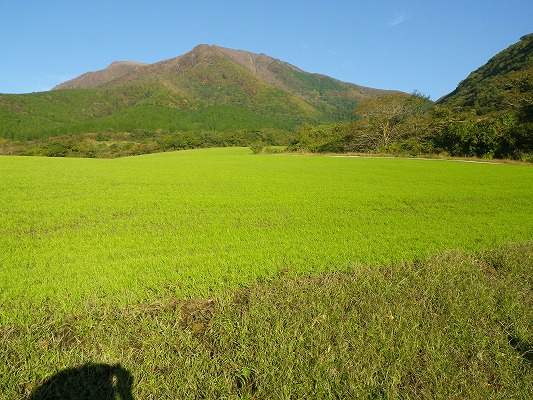 f0187402_21163066.jpg