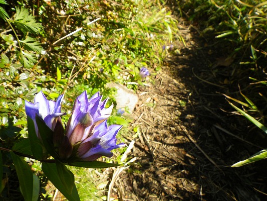 f0187402_21172225.jpg