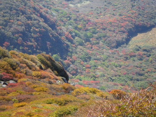 f0187402_21183692.jpg