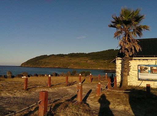 a0140305_1513163.jpg
