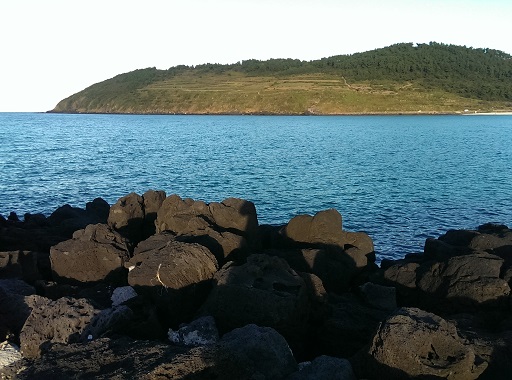 a0140305_1525877.jpg