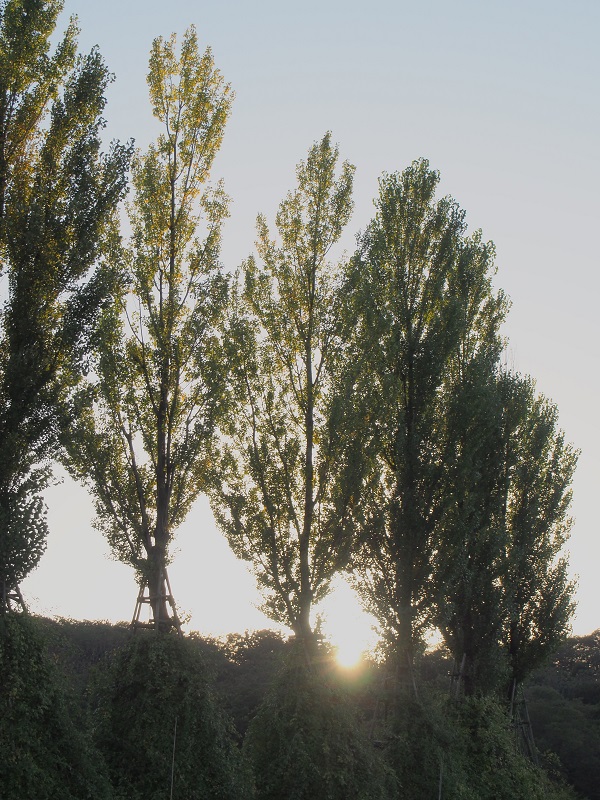 d0001008_20214932.jpg