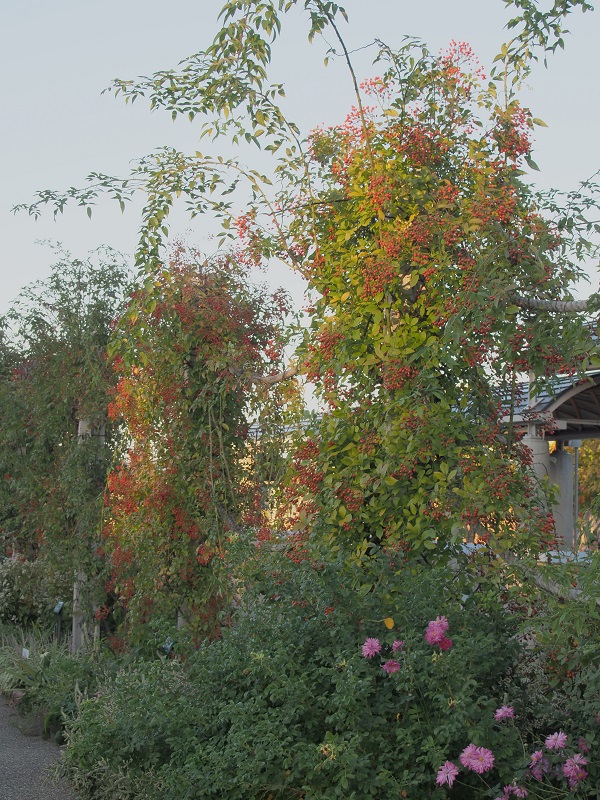 d0001008_2052368.jpg
