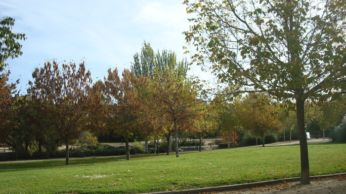 e0255908_17563355.jpg