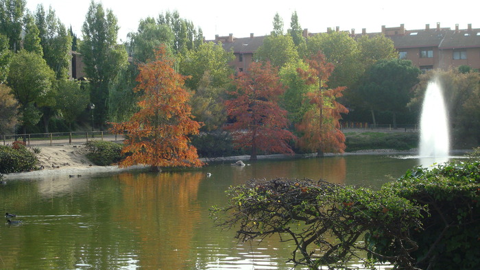 e0255908_1757252.jpg