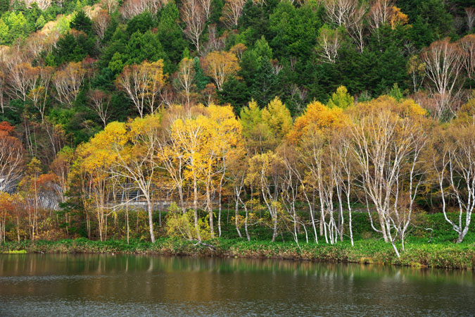 a0263109_1683435.jpg