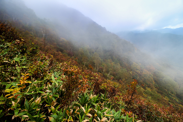 b0244811_19331378.jpg