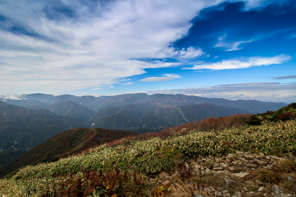 b0244811_19361591.jpg