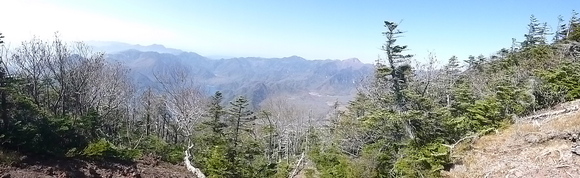 d0170615_1036748.jpg