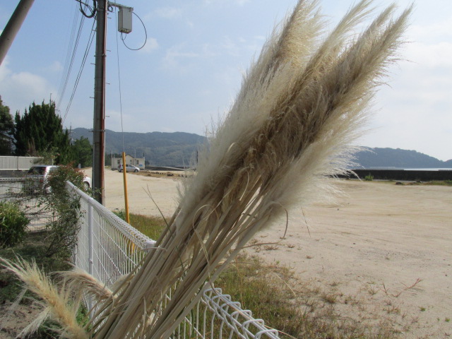 f0341616_07161555.jpg