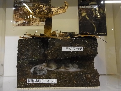 f0191517_10271027.jpg