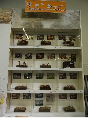 f0191517_1099100.jpg