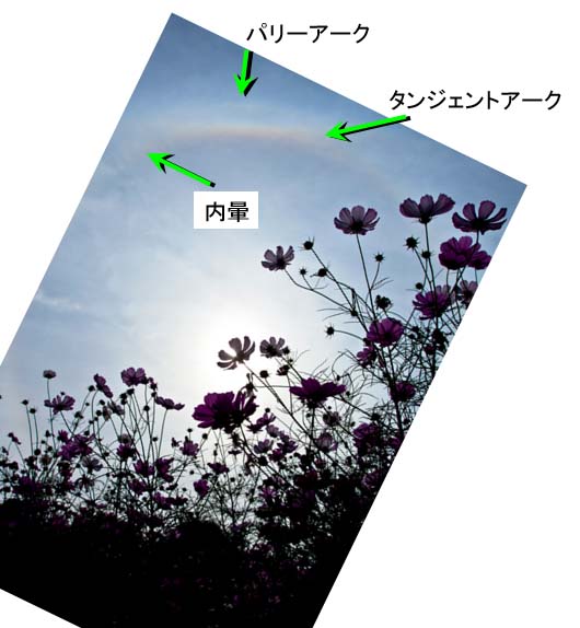 c0037519_23545855.jpg