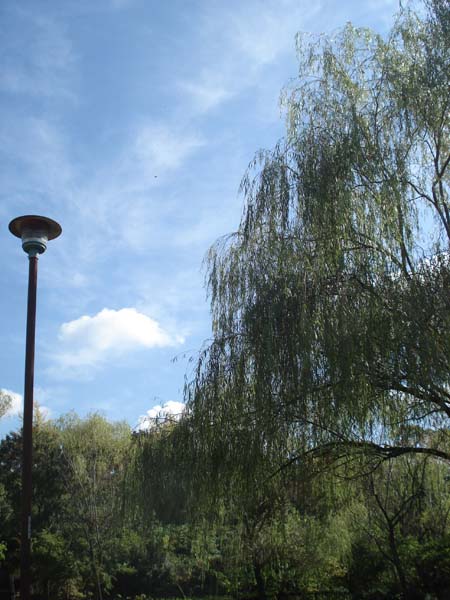 e0110719_12131052.jpg