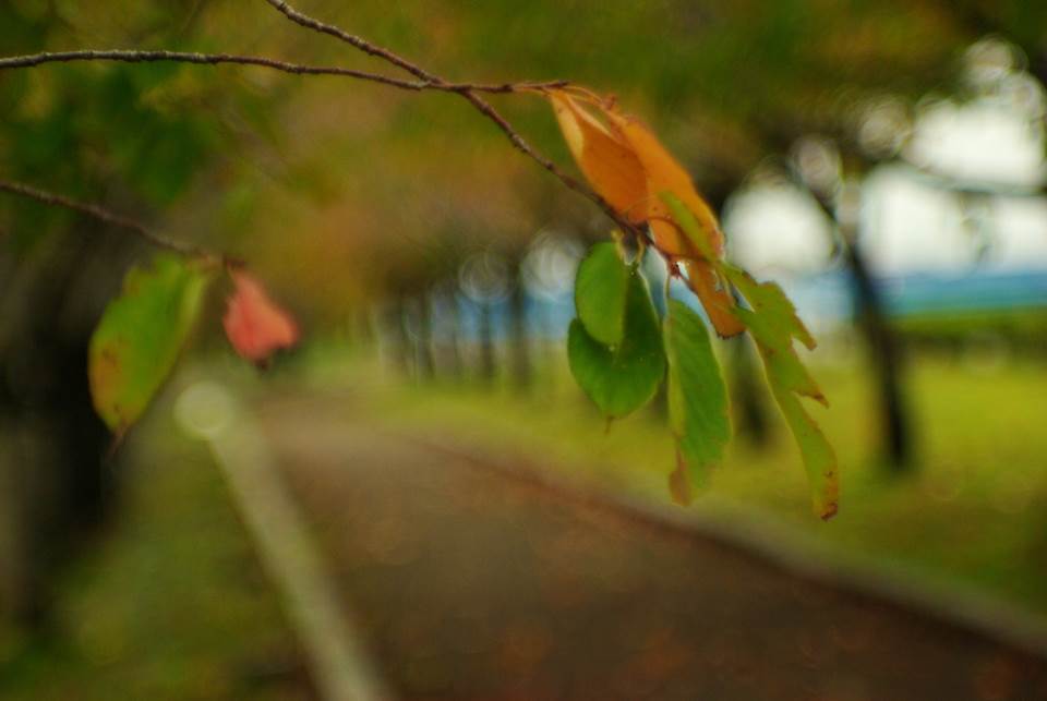 f0222919_1214851.jpg