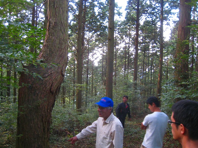 e0002820_165559100.jpg