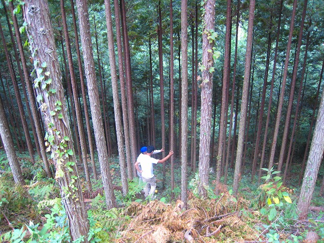 e0002820_16562343.jpg