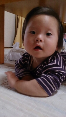 c0117621_040159.jpg