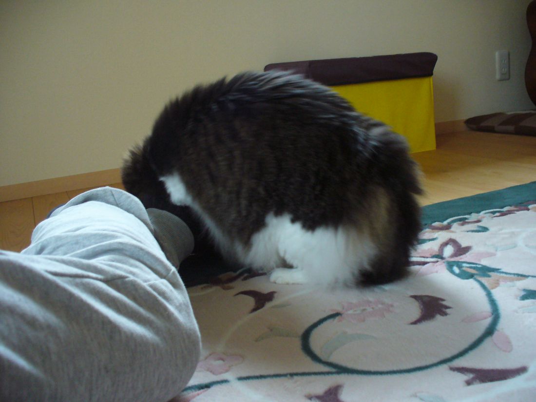 f0346527_2118293.jpg
