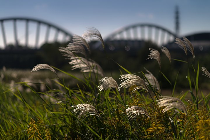 b0134829_10102865.jpg