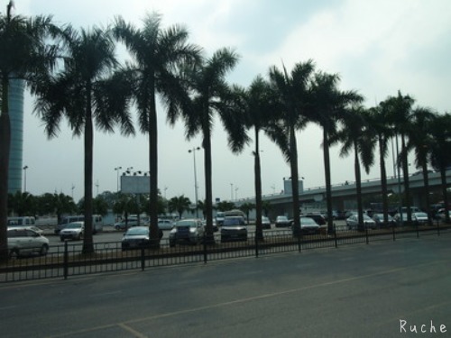 c0103830_1348325.jpg