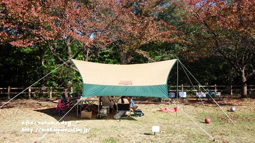 d0249934_21321157.jpg