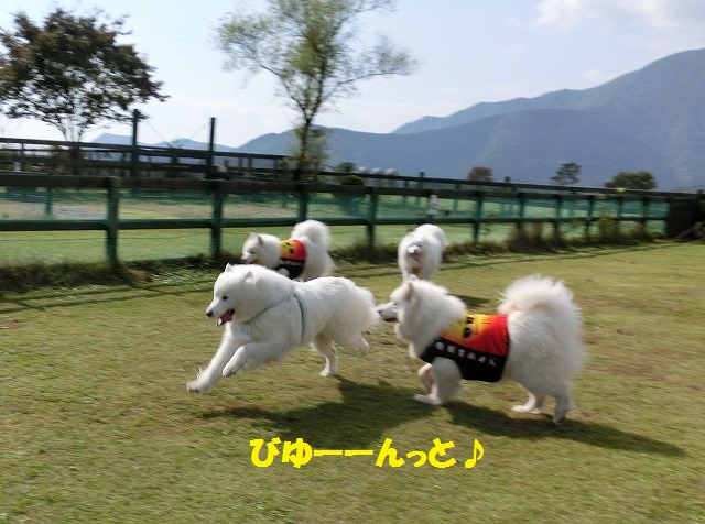 e0196135_10453791.jpg