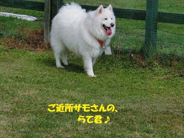 e0196135_10462343.jpg