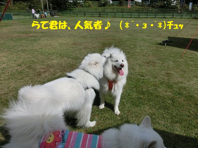 e0196135_10463827.jpg