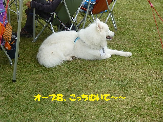 e0196135_10483958.jpg