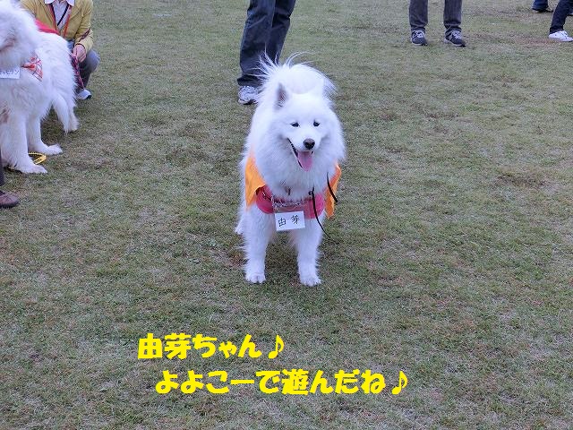e0196135_10504323.jpg