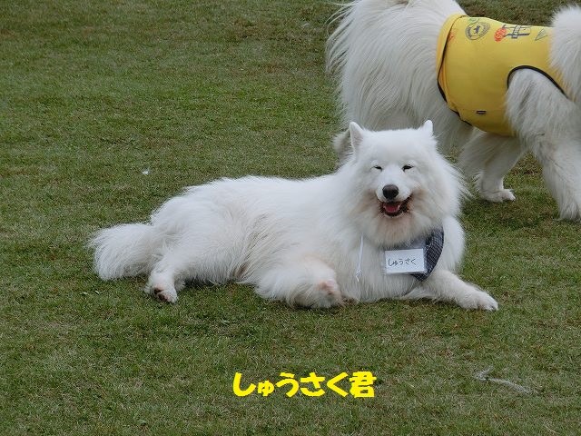 e0196135_1050516.jpg