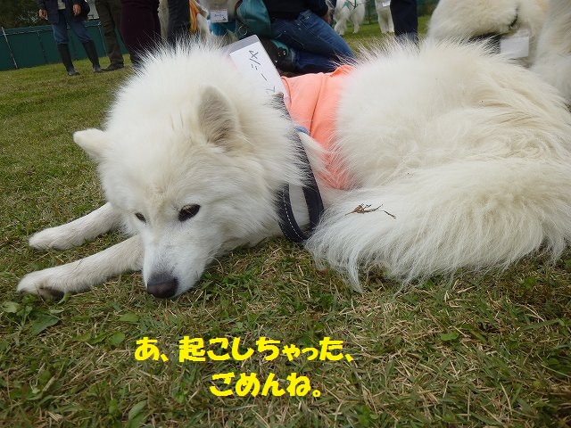 e0196135_10512283.jpg